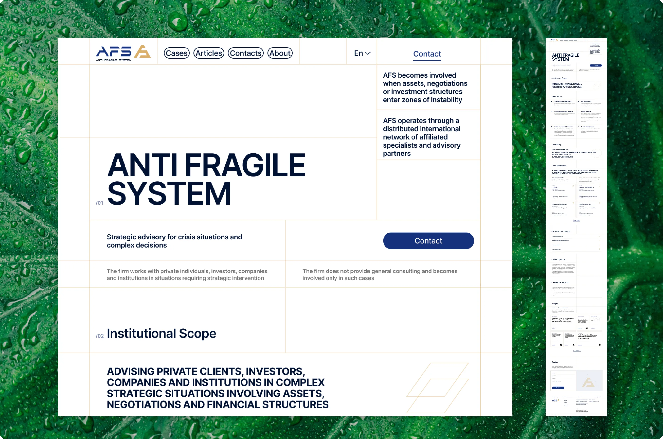 Approved homepage hero: heading on a thin-line grid, company logo top left, next to a full-length view of the homepage