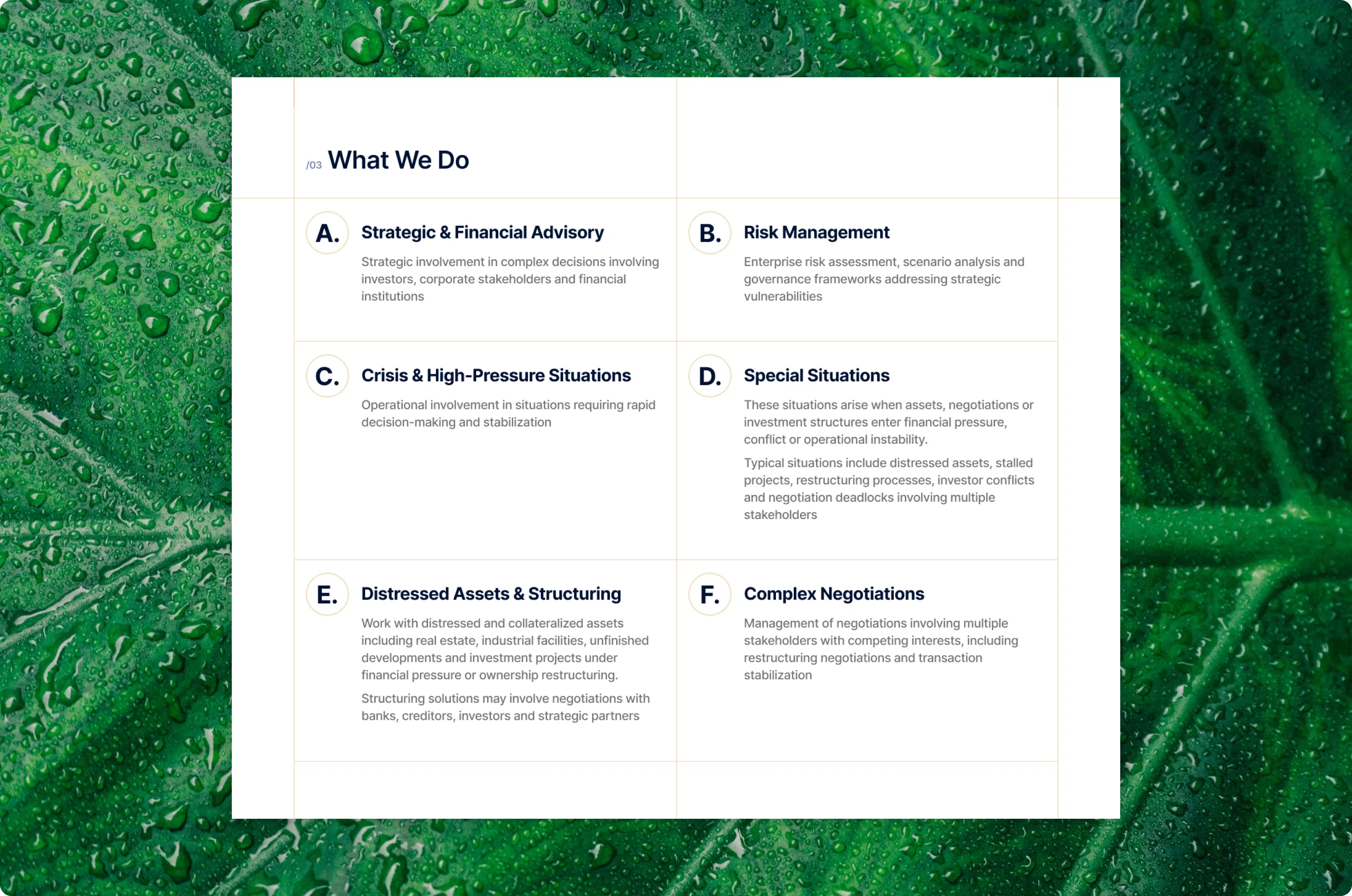What We Do section: six service directions lettered A to F in two columns