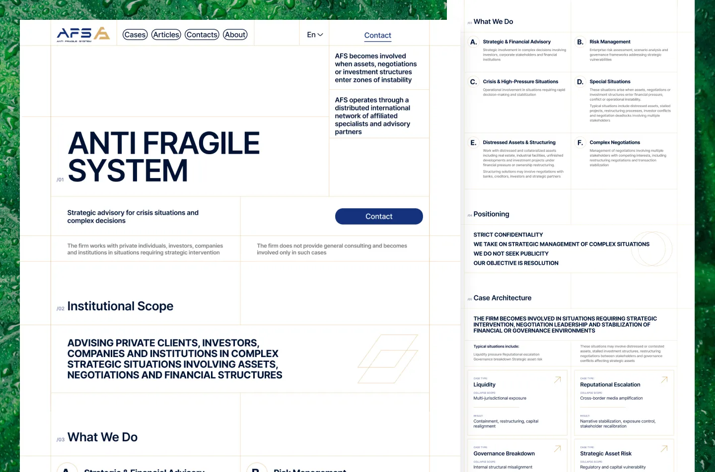 Anti Fragile System website: home page hero and services overview