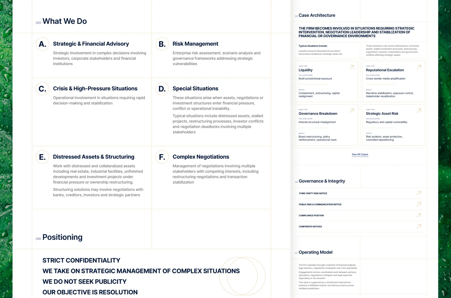 Anti Fragile System website: services grid and positioning statements