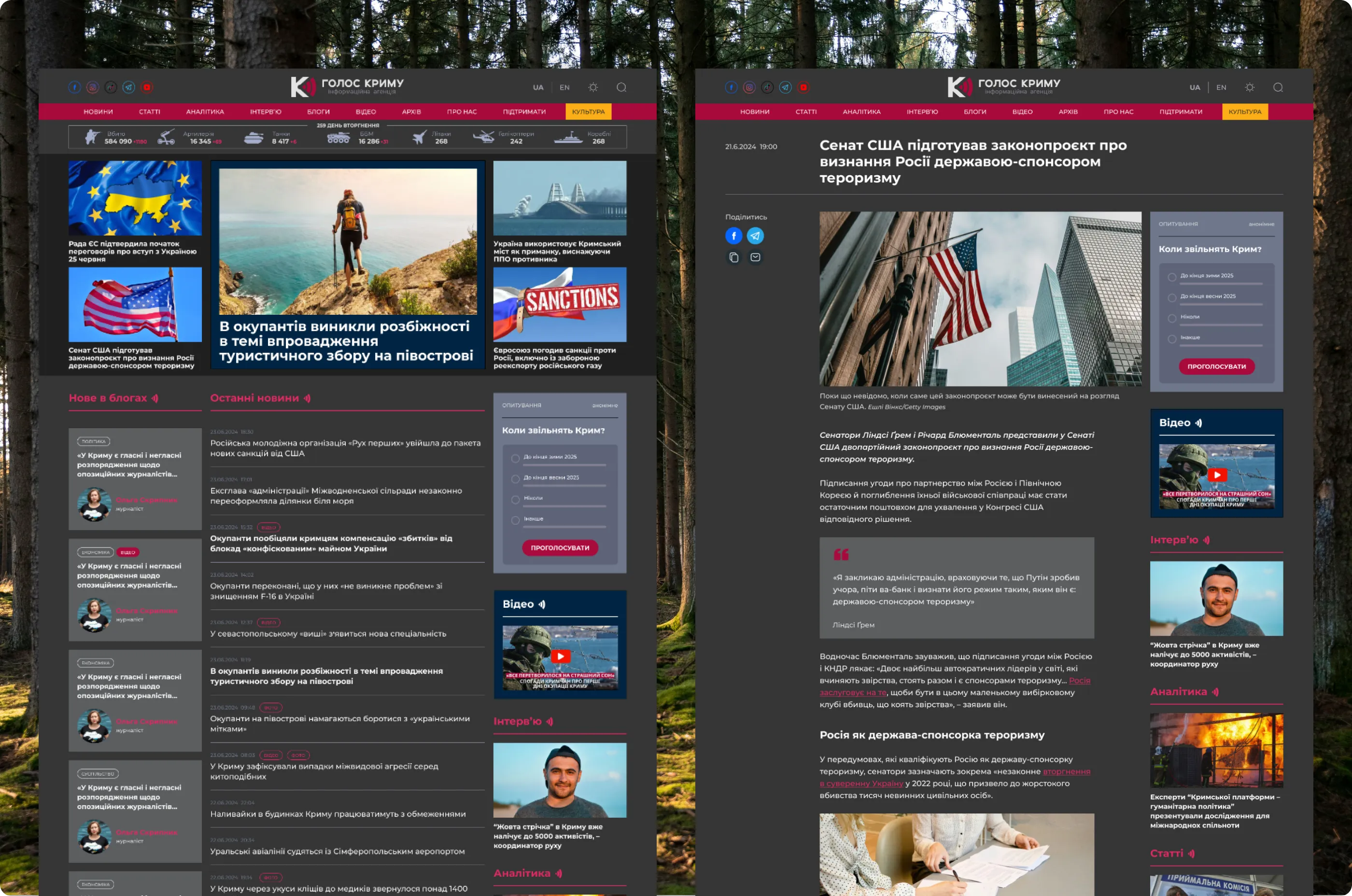 Home page and article page in the dark theme